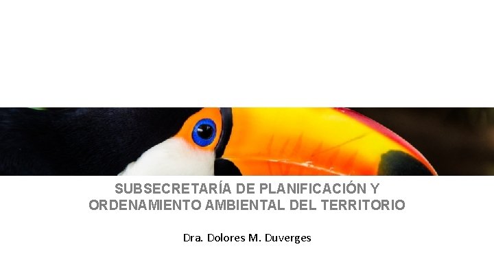 SUBSECRETARÍA DE PLANIFICACIÓN Y ORDENAMIENTO AMBIENTAL DEL TERRITORIO Dra. Dolores M. Duverges 