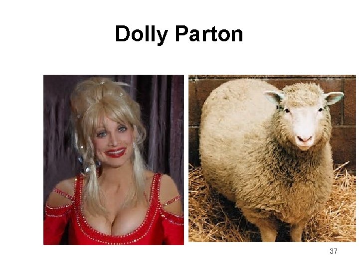 Dolly Parton 37 