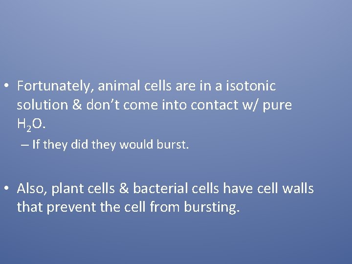  • Fortunately, animal cells are in a isotonic solution & don’t come into
