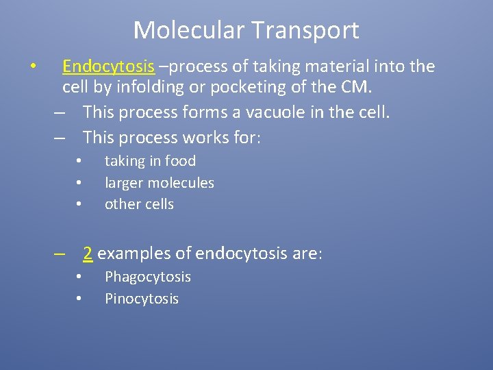 Molecular Transport • Endocytosis –process of taking material into the cell by infolding or