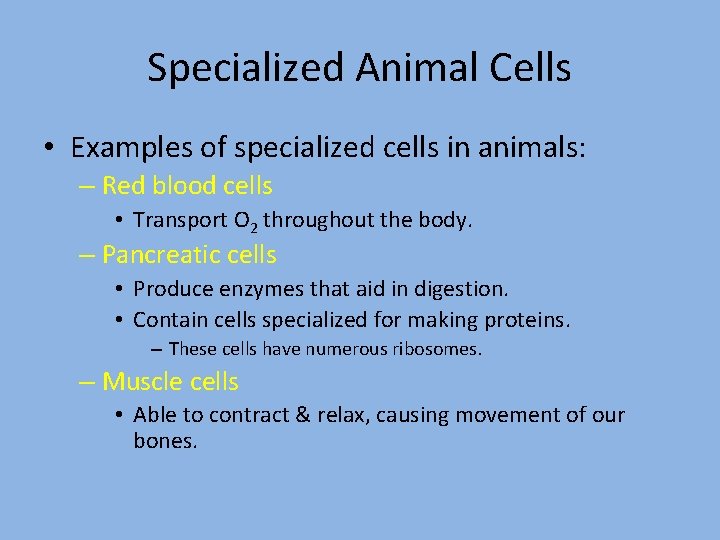 Specialized Animal Cells • Examples of specialized cells in animals: – Red blood cells