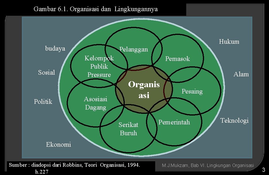 Gambar 6. 1. Organisasi dan Lingkungannya Hukum budaya Sosial Politik Pelanggan Kelompok Publik Pressure