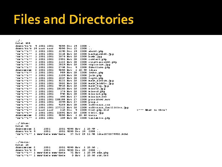Files and Directories. . /: total 568 drwxr-xr-x 4 1001 4096 Dec 14 2008.