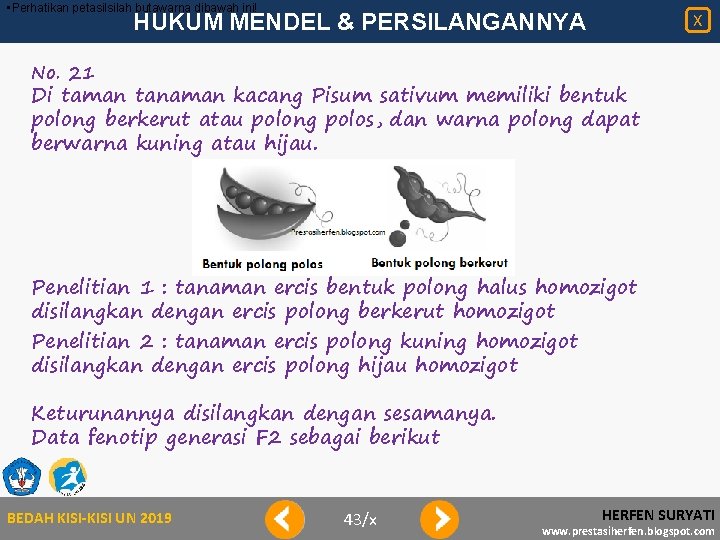  • Perhatikan petasilsilah butawarna dibawah ini! HUKUM MENDEL & PERSILANGANNYA X No. 21