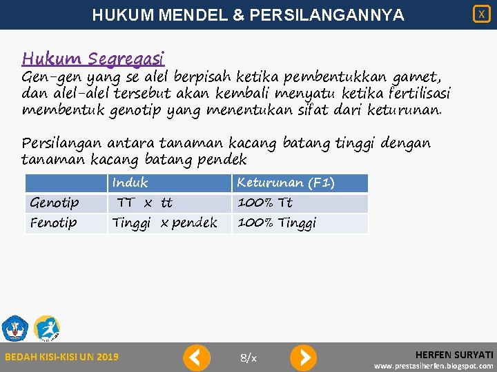 HUKUM MENDEL & PERSILANGANNYA X Hukum Segregasi Gen-gen yang se alel berpisah ketika pembentukkan