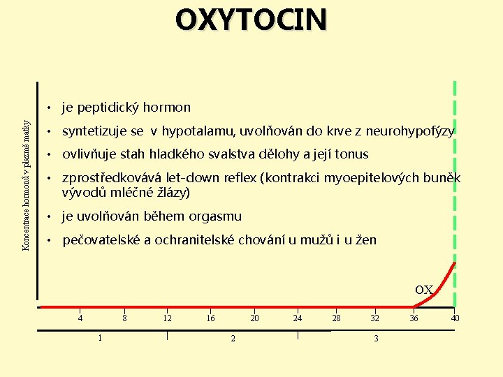 OXYTOCIN Koncentrace hormonů v plazmě matky • je peptidický hormon • syntetizuje se v