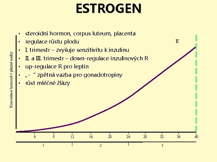Koncentrace hormonů v plazmě matky ESTROGEN • • steroidní hormon, corpus luteum, placenta regulace