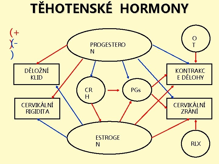 TĚHOTENSKÉ HORMONY (+ )() O T PROGESTERO N KONTRAKC E DĚLOHY DĚLOŽNÍ KLID CR