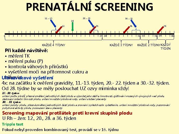 PRENATÁLNÍ SCREENING 11. – 13. 16. 12. 20. – 22. 30. – 32. 20.