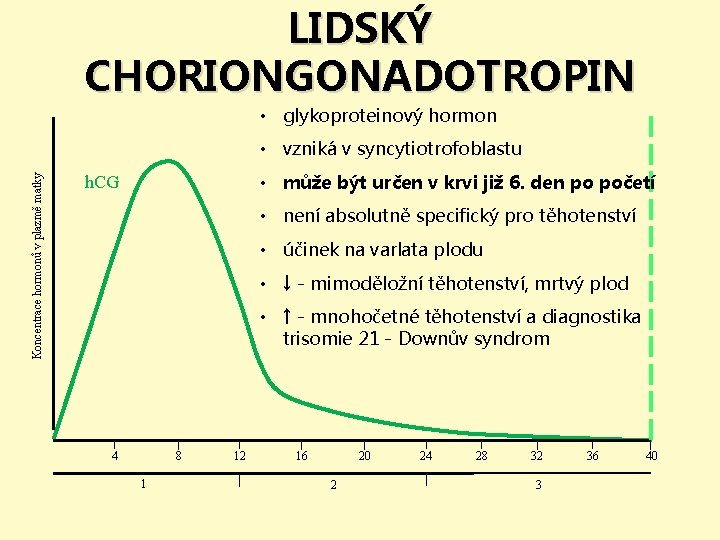 LIDSKÝ CHORIONGONADOTROPIN • glykoproteinový hormon Koncentrace hormonů v plazmě matky • vzniká v syncytiotrofoblastu