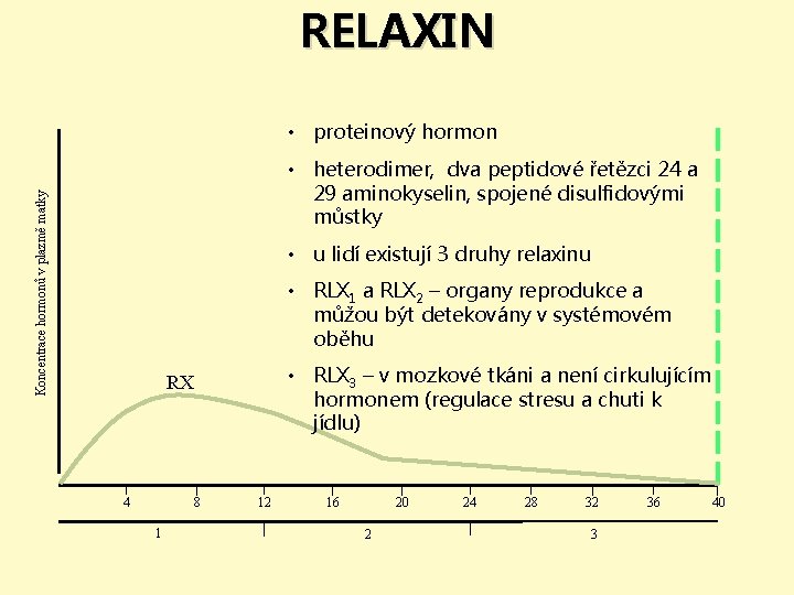 RELAXIN • proteinový hormon Koncentrace hormonů v plazmě matky • heterodimer, dva peptidové řetězci