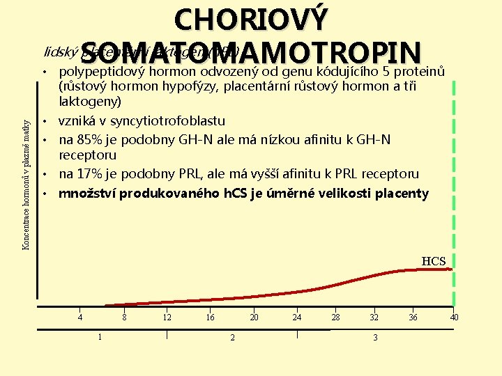 CHORIOVÝ lidský placentární laktogen (h. PL) SOMATOMAMOTROPIN • polypeptidový hormon odvozený od genu kódujícího