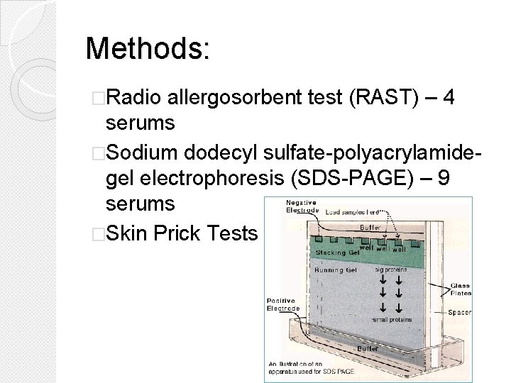 Methods: �Radio allergosorbent test (RAST) – 4 serums �Sodium dodecyl sulfate-polyacrylamidegel electrophoresis (SDS-PAGE) –
