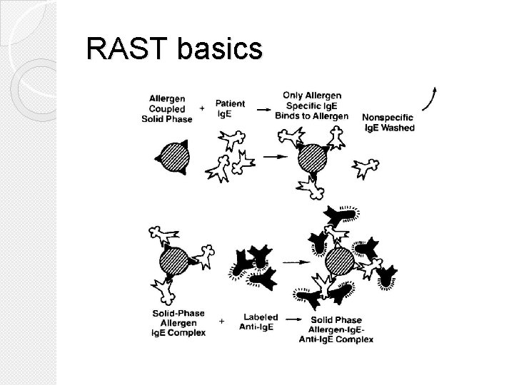 RAST basics 