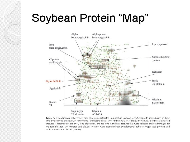 Soybean Protein “Map” 