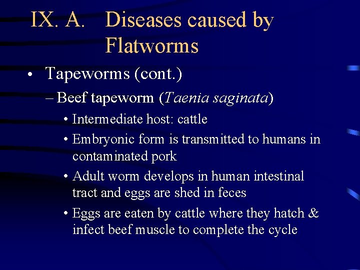 IX. A. Diseases caused by Flatworms • Tapeworms (cont. ) – Beef tapeworm (Taenia