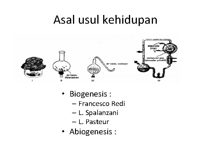 Asal usul kehidupan • Biogenesis : – Francesco Redi – L. Spalanzani – L.