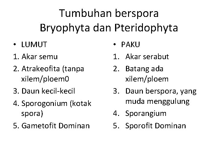 Tumbuhan berspora Bryophyta dan Pteridophyta • LUMUT 1. Akar semu 2. Atrakeofita (tanpa xilem/ploem