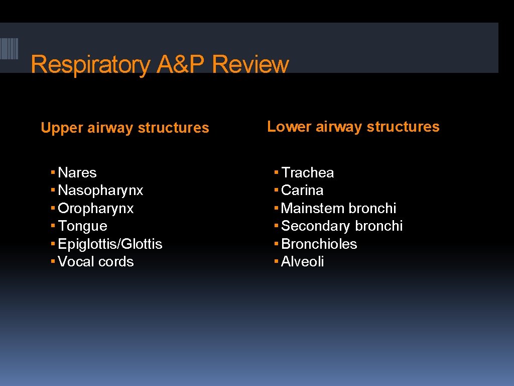 Respiratory A&P Review Upper airway structures ▪ Nasopharynx ▪ Oropharynx ▪ Tongue ▪ Epiglottis/Glottis