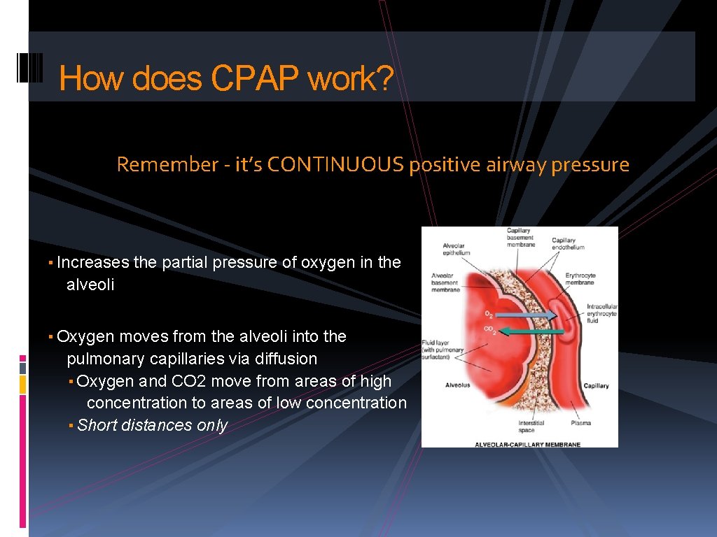 How does CPAP work? Remember - it’s CONTINUOUS positive airway pressure ▪ Increases the