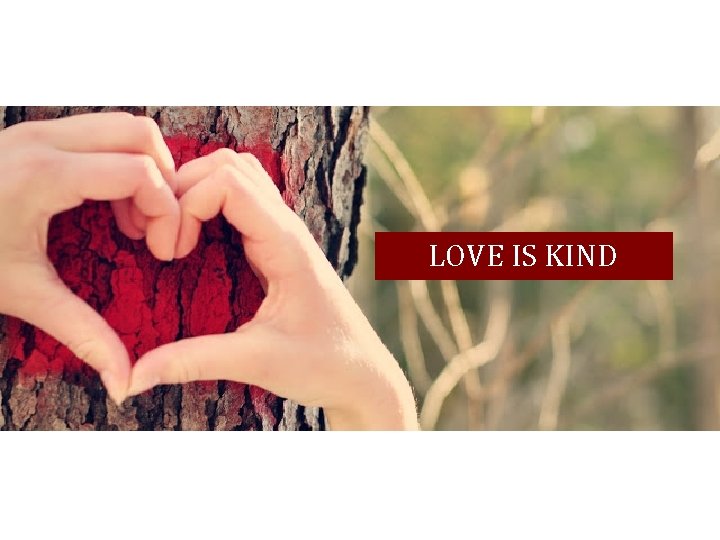 LOVE IS KIND 