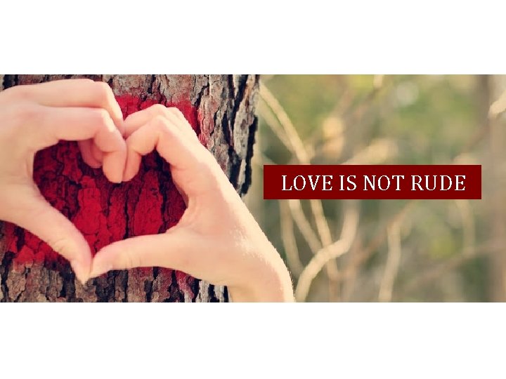 LOVE IS NOT RUDE 