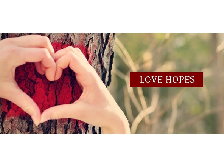 LOVE HOPES 