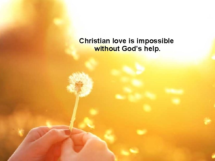 Christian love is impossible without God’s help. 