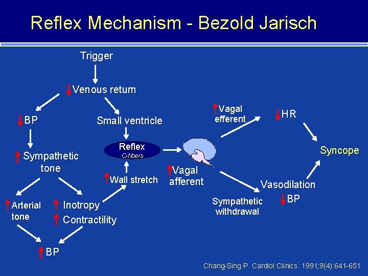 Reflex Mechanism - Bezold Jarisch Trigger Venous return BP Vagal efferent Small ventricle Sympathetic