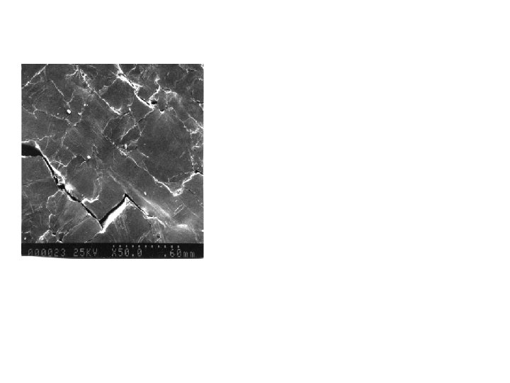 84 th Shock and Vibration Symposium 2013 NASA