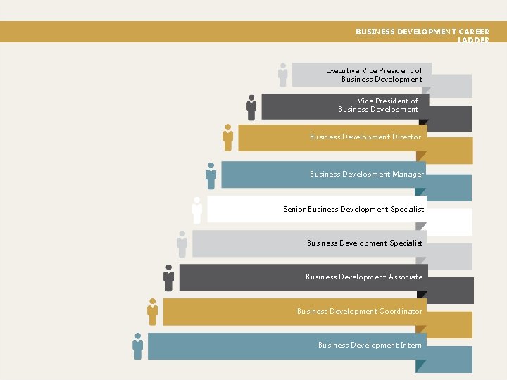 BUSINESS DEVELOPMENT CAREER LADDER Executive Vice President of Business Development Director Business Development Manager