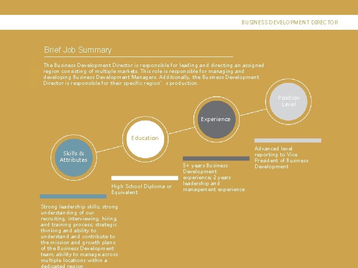 BUSINESS DEVELOPMENT DIRECTOR Brief Job Summary The Business Development Director is responsible for leading