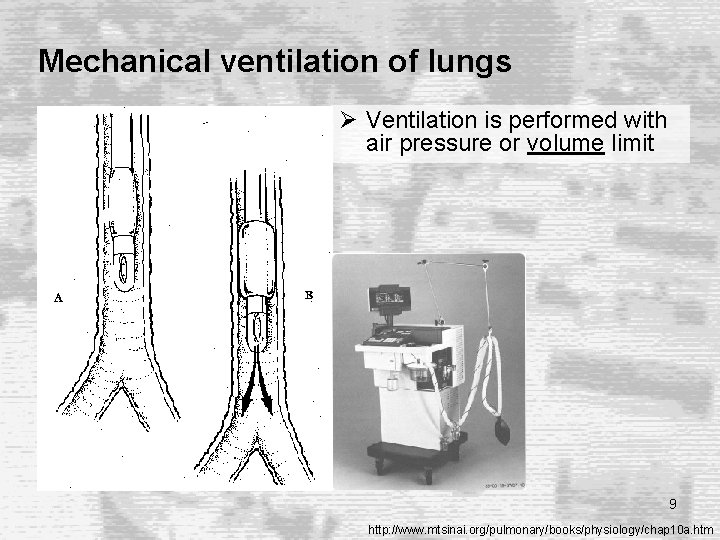 Mechanical ventilation of lungs Ø Ventilation is performed with air pressure or volume limit Mechanical ventilation of lungs Ø Ventilation is performed with air pressure or volume limit
