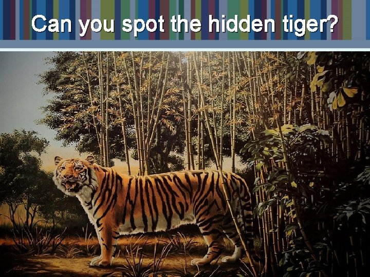 Can you spot the hidden tiger? Can you spot the hidden tiger?