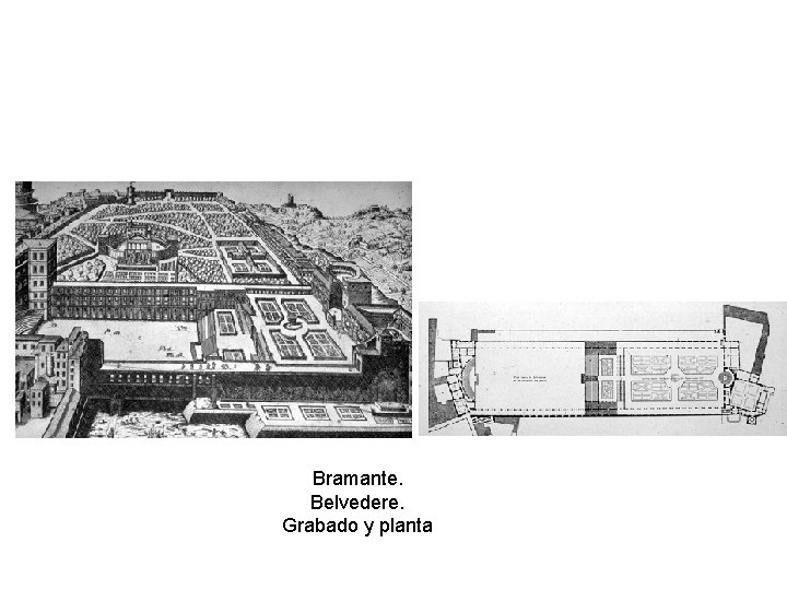 Bramante. Belvedere. Grabado y planta 