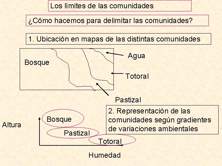 Los límites de las comunidades ¿Cómo hacemos para delimitar las comunidades? 1. Ubicación en