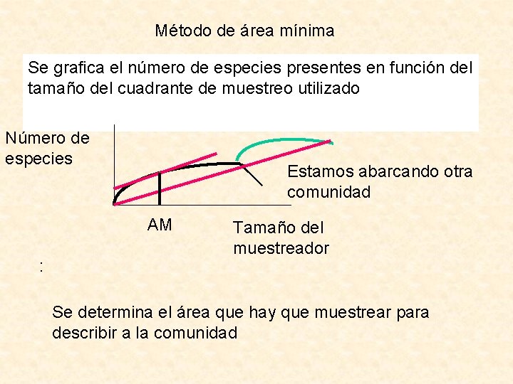 Método de área mínima Se grafica el número de especies presentes en función del