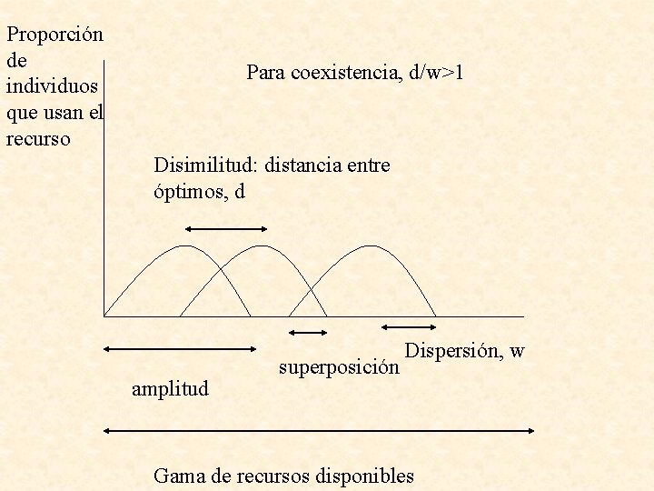 Proporción de individuos que usan el recurso Para coexistencia, d/w>1 Disimilitud: distancia entre óptimos,