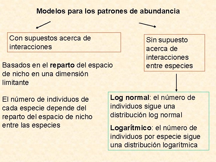 Modelos para los patrones de abundancia Con supuestos acerca de interacciones Basados en el