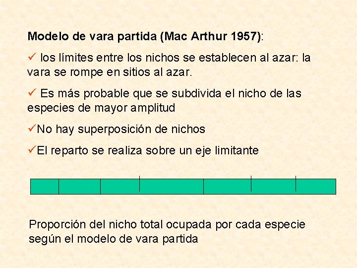 Modelo de vara partida (Mac Arthur 1957): los límites entre los nichos se establecen