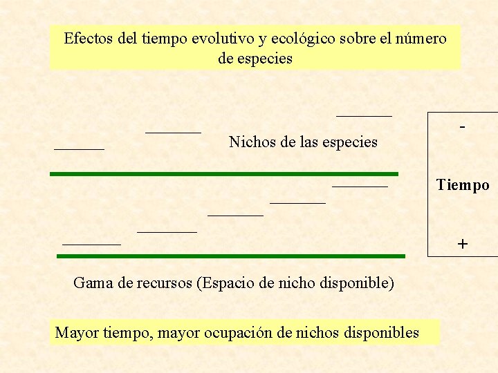 Efectos del tiempo evolutivo y ecológico sobre el número de especies Nichos de las