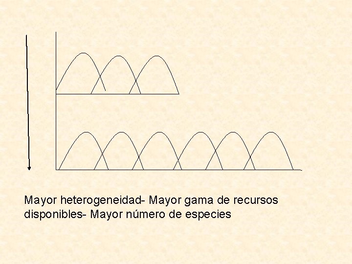 Mayor heterogeneidad- Mayor gama de recursos disponibles- Mayor número de especies 