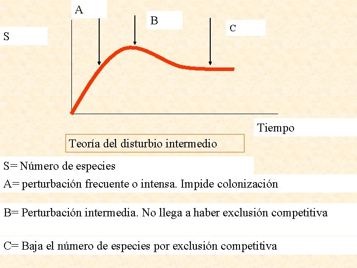 A B S C Tiempo Teoría del disturbio intermedio S= Número de especies A=