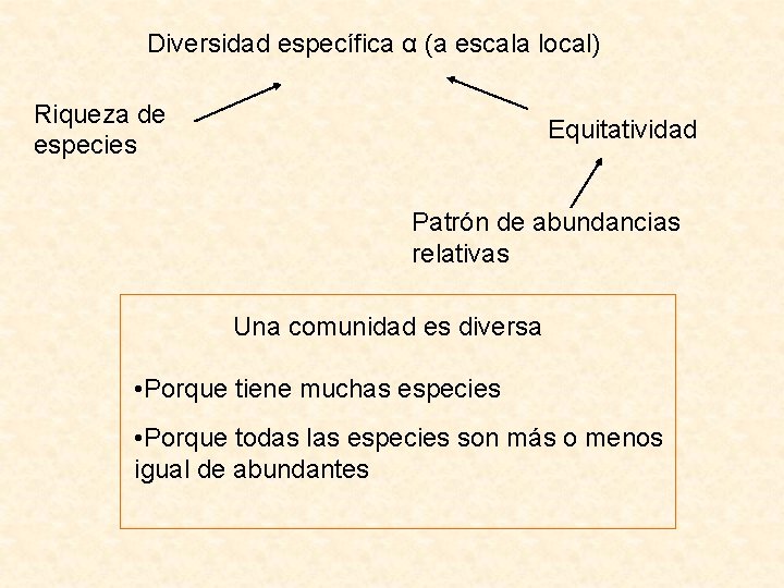 Diversidad específica α (a escala local) Riqueza de especies Equitatividad Patrón de abundancias relativas