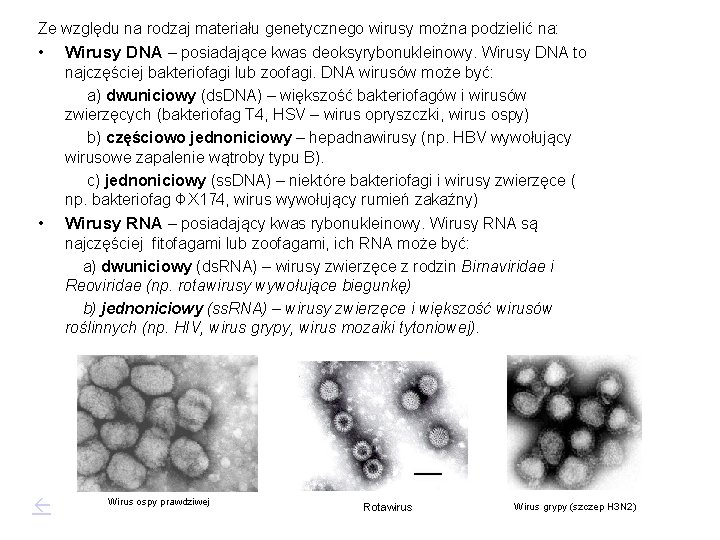 Ze względu na rodzaj materiału genetycznego wirusy można podzielić na: • Wirusy DNA –