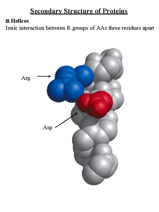 Secondary Structure of Proteins Helices Ionic interaction between R groups of AAs three residues