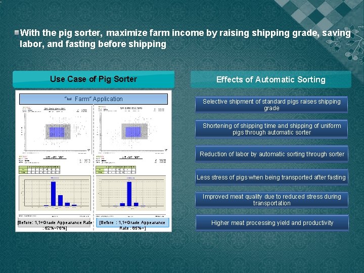 With the pig sorter, maximize farm income by raising shipping grade, saving labor, and