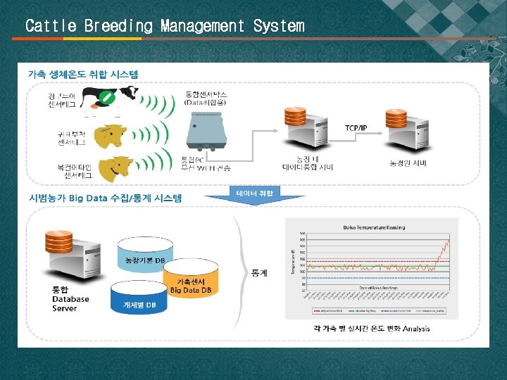 Cattle Breeding Management System 