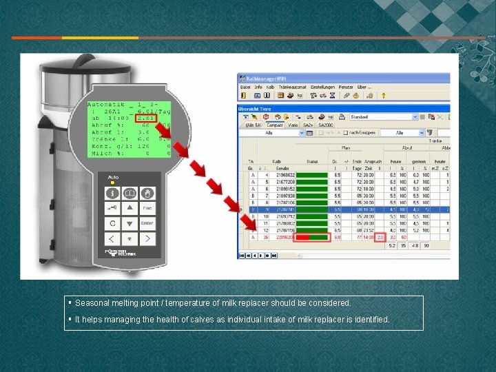 § Seasonal melting point / temperature of milk replacer should be considered. § It