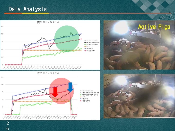 Data Analysis Active Pigs 웅크린 돼지들 2 6 